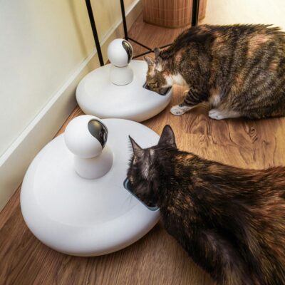 Apps e gadgets para cuidar melhor do seu pet